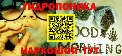 a pvp Владимир