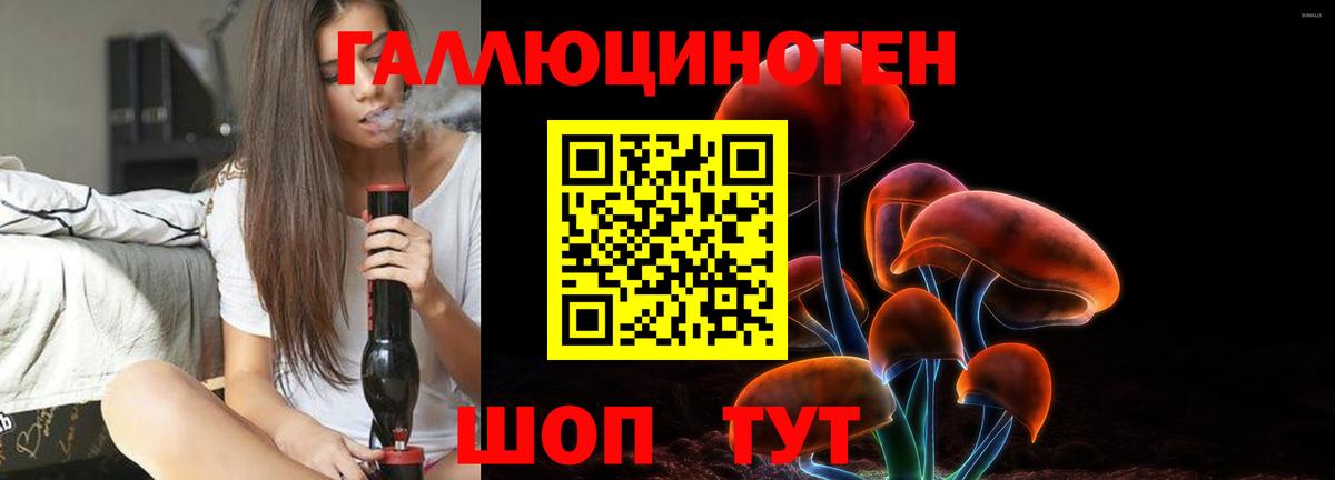 Гуково  Галлюциногенные грибы Psilocybe  Вход с VPN 